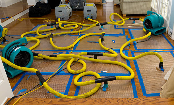 Professional Water Damage Repair technician working in Bellflower, MO